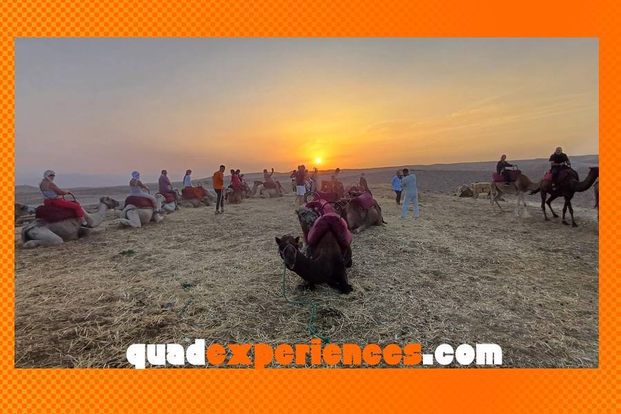 Pausa de té a la menta en un campamento tradicional