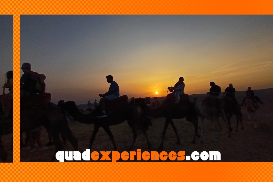 Piscina y almuerzo tradicional en el oasis de Agafay